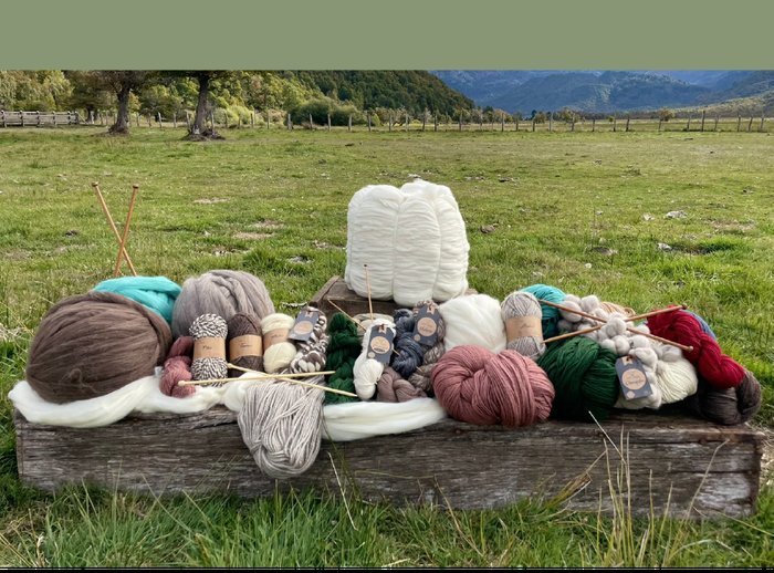 Producto de Top Wool