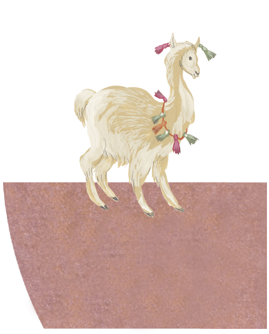 Ilustración llama San Pedro de Atacama